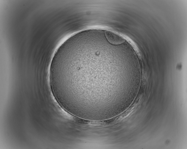X0000099431199200805161103