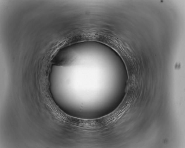 X0000099431201200805161102