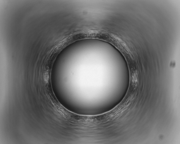 X0000099431204200805161102