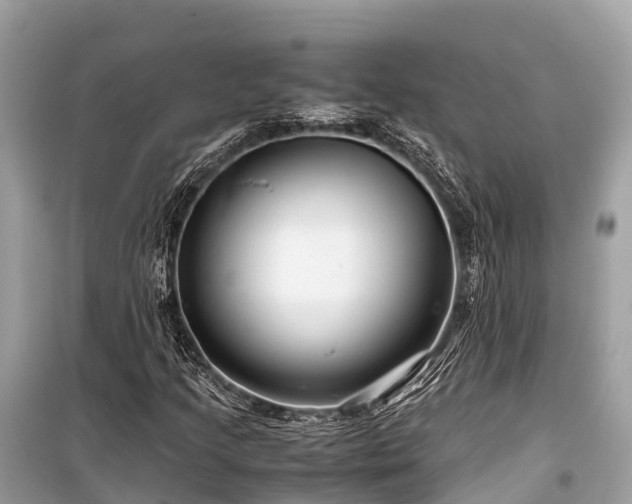 X0000099431205200805161102