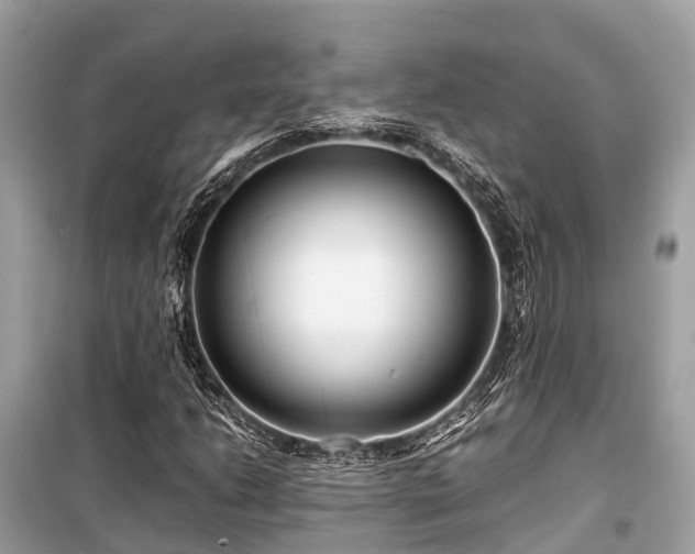 X0000099431206200805161102