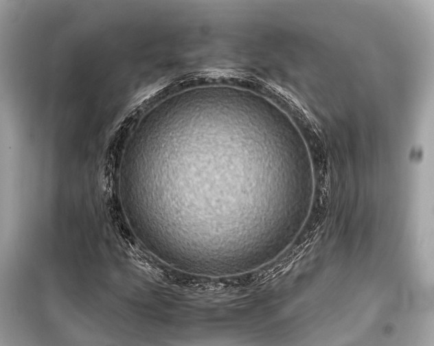 X0000099431207200805161102