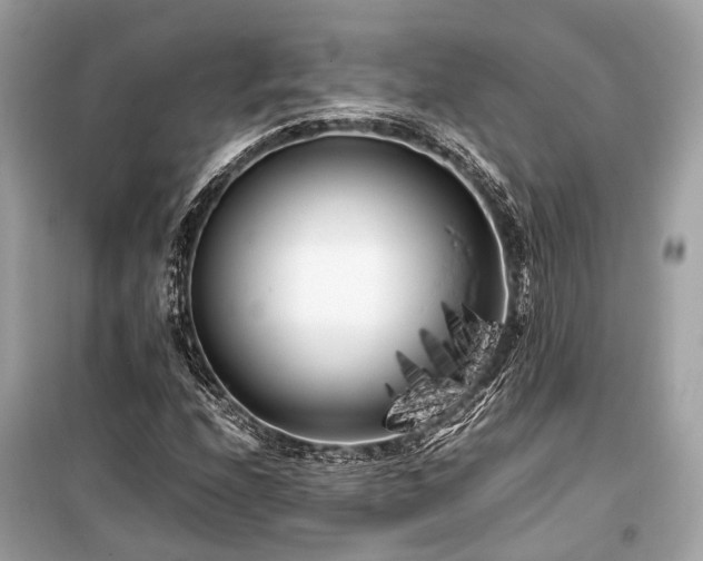 X0000099431208200805161102