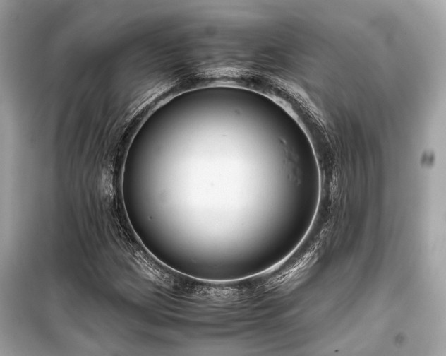 X0000099431209200805161102
