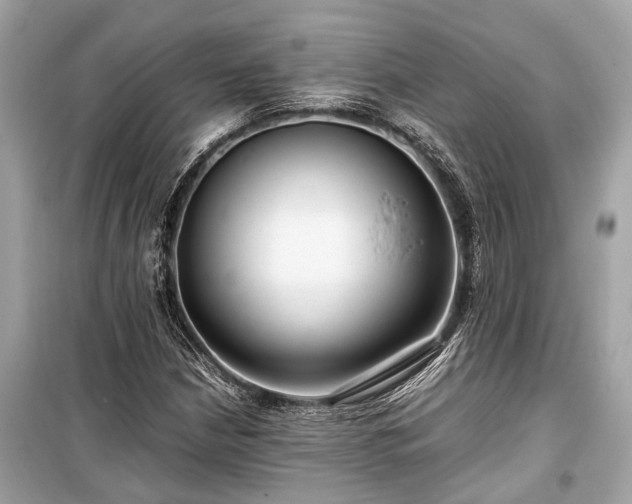 X0000099431210200805161102
