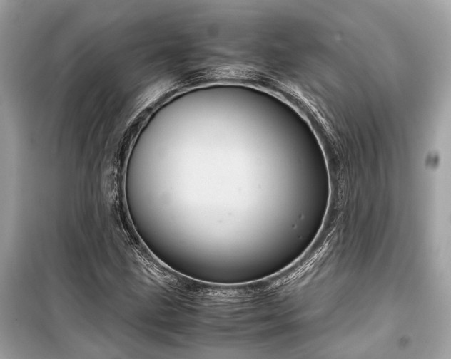 X0000099431211200805161102