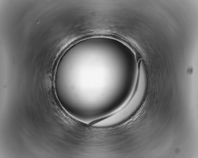 X0000099431212200805161102
