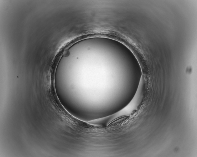 X0000099431214200805161102