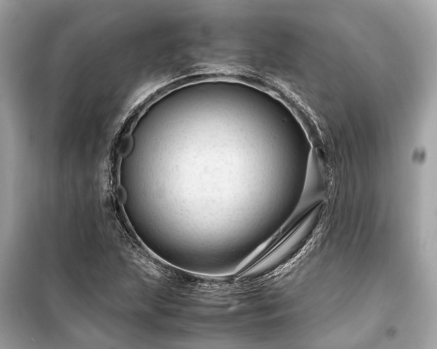 X0000099431215200805161102