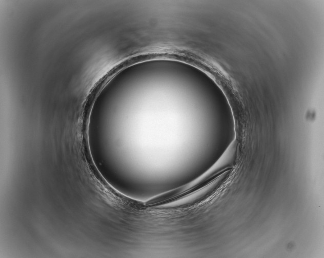 X0000099431216200805161102