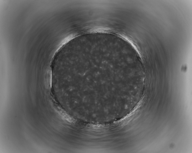 X0000099431219200805161102