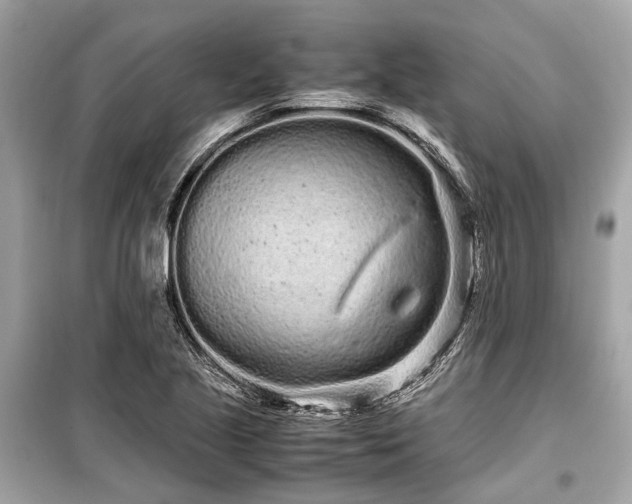 X0000099431221200805161102