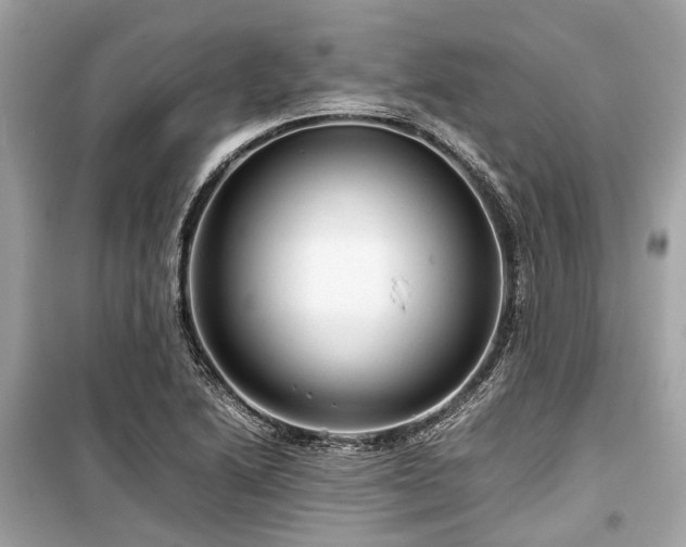 X0000099431222200805161102