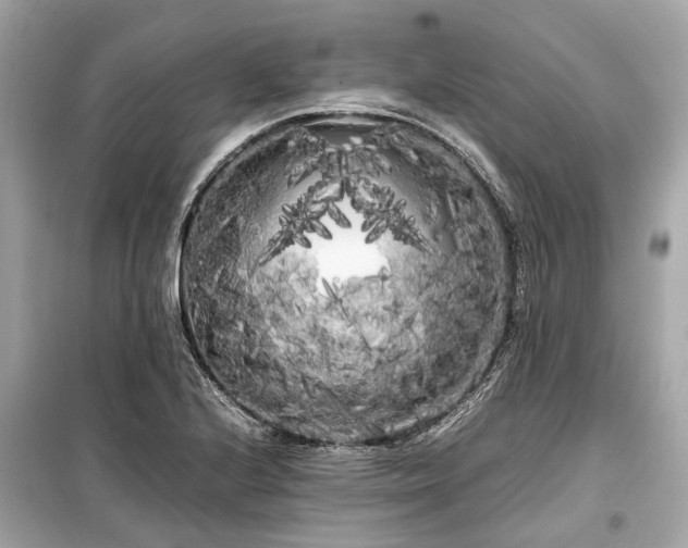 X0000099431224200805161102