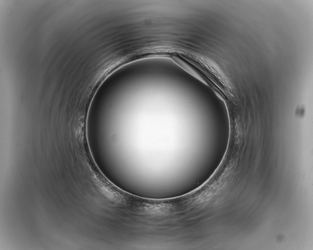 X0000099431225200805161102