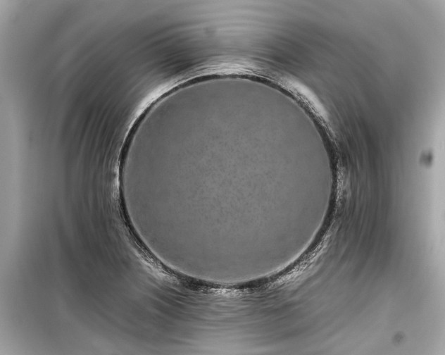 X0000099431226200805161102