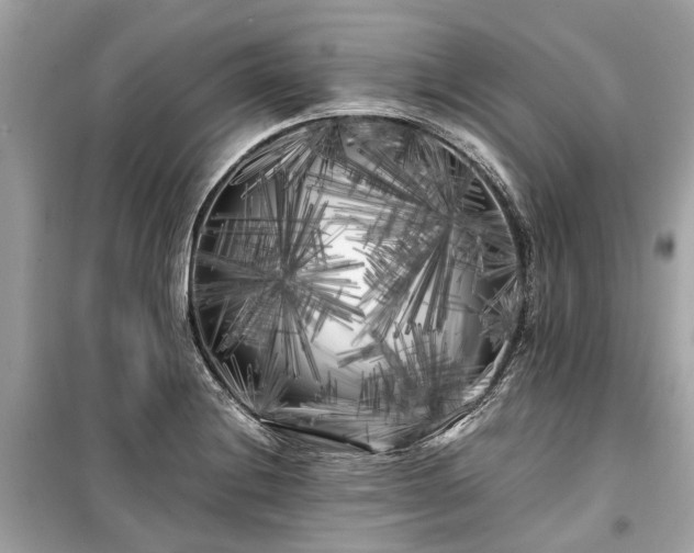 X0000099431228200805161102