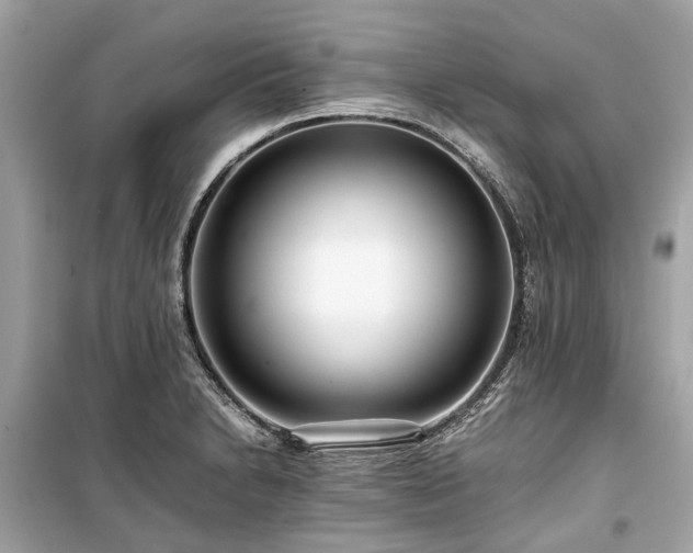 X0000099431230200805161102