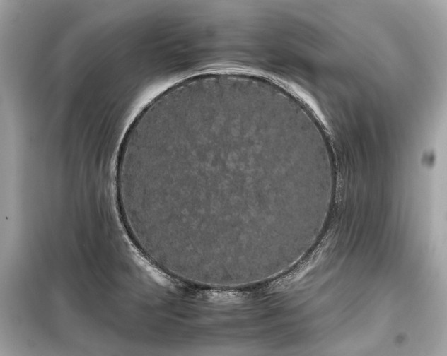 X0000099431231200805161102