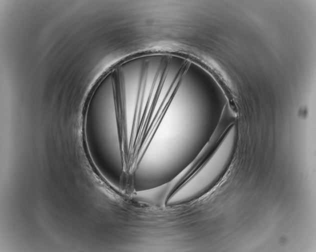 X0000099431232200805161102
