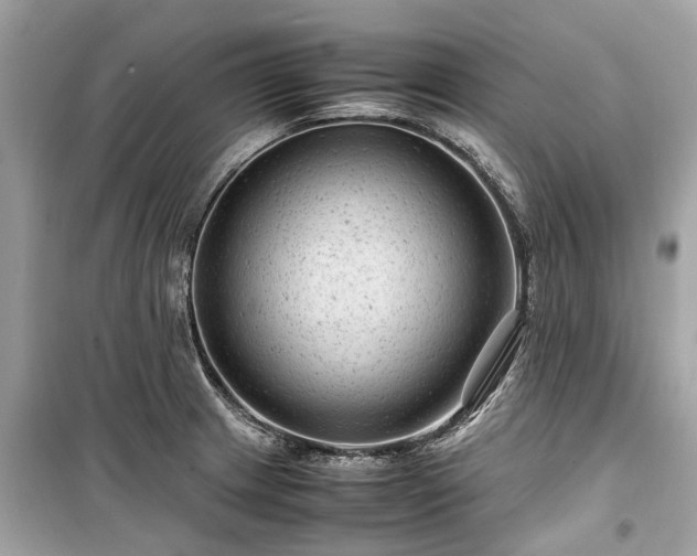 X0000099431233200805161102