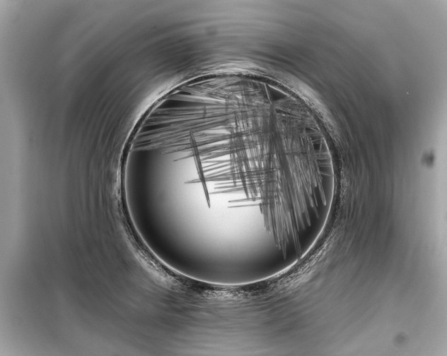 X0000099431234200805161102