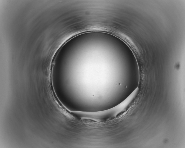 X0000099431236200805161103