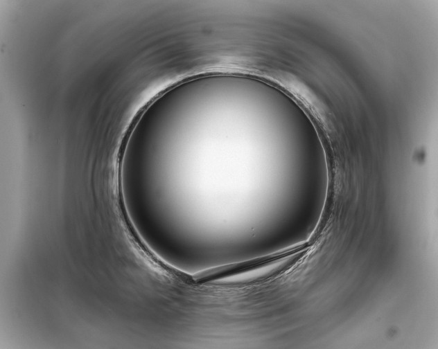 X0000099431238200805161103