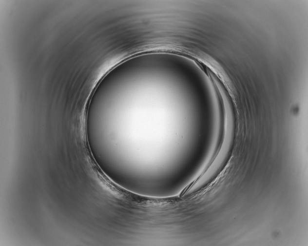 X0000099431242200805161103