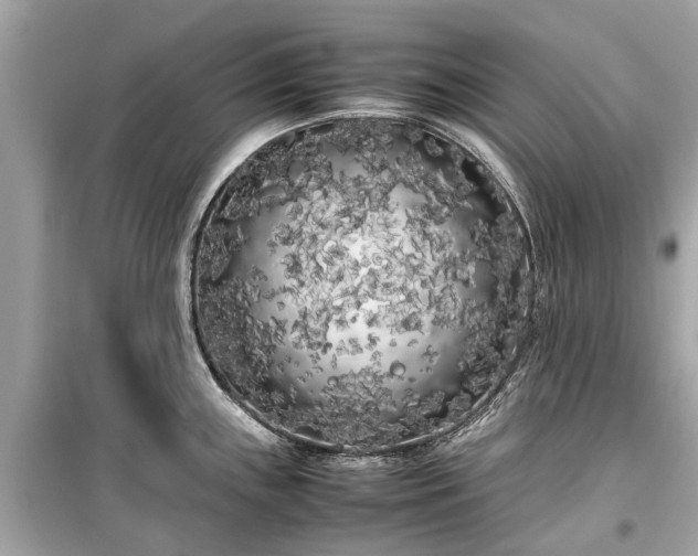 X0000099431243200805161103
