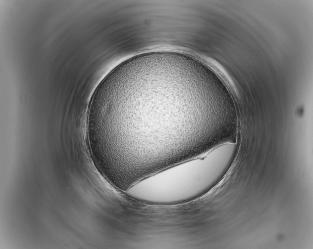 X0000099431244200805161103