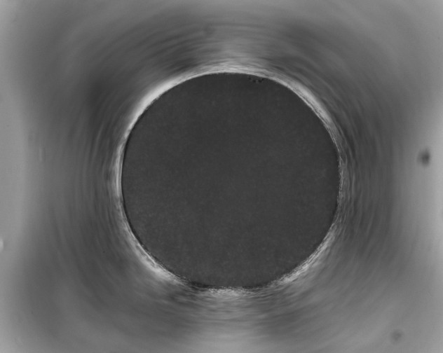 X0000099431246200805161103