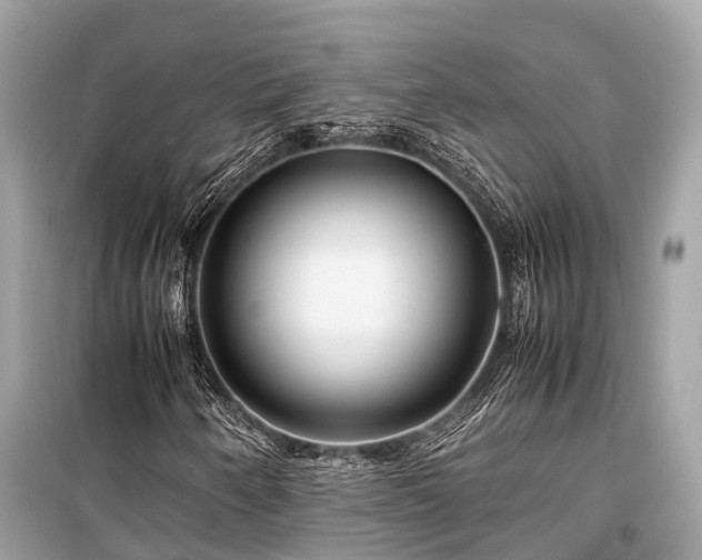 X0000099431250200805161102