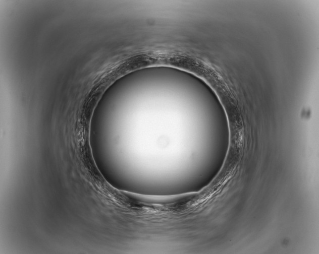 X0000099431253200805161102