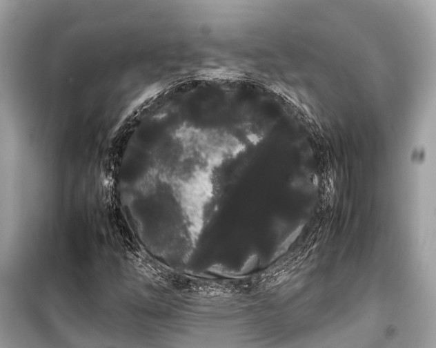 X0000099431254200805161102