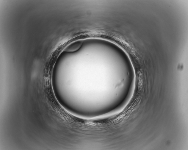 X0000099431255200805161102