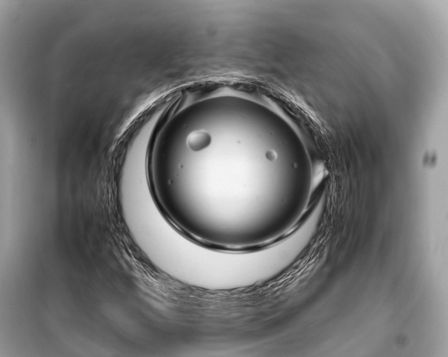 X0000099431256200805161102