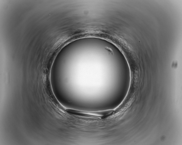 X0000099431257200805161102