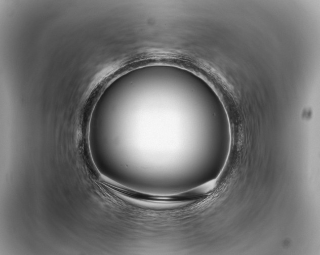 X0000099431261200805161102
