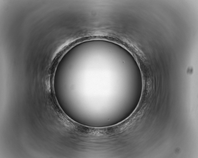 X0000099431262200805161102