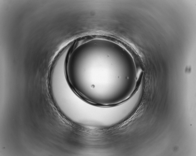 X0000099431264200805161102