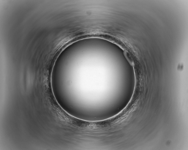 X0000099431265200805161102