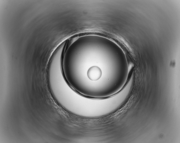 X0000099431268200805161101