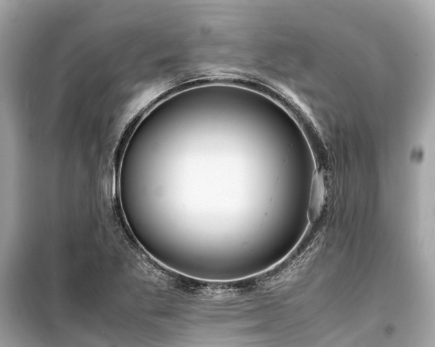 X0000099431269200805161101