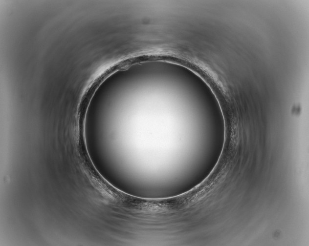 X0000099431270200805161101
