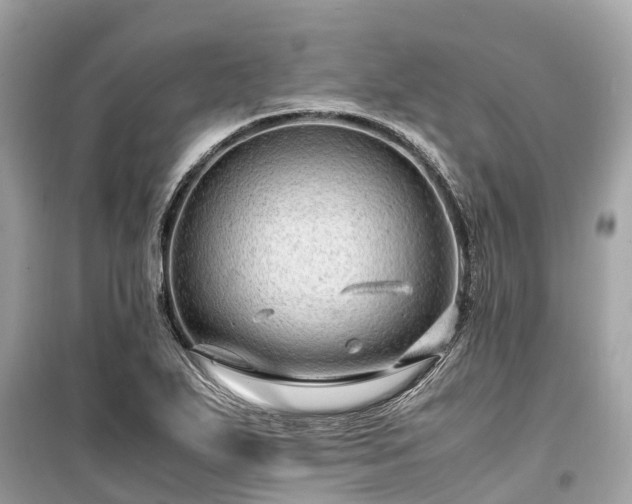 X0000099431271200805161101