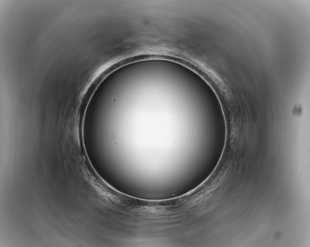 X0000099431272200805161101