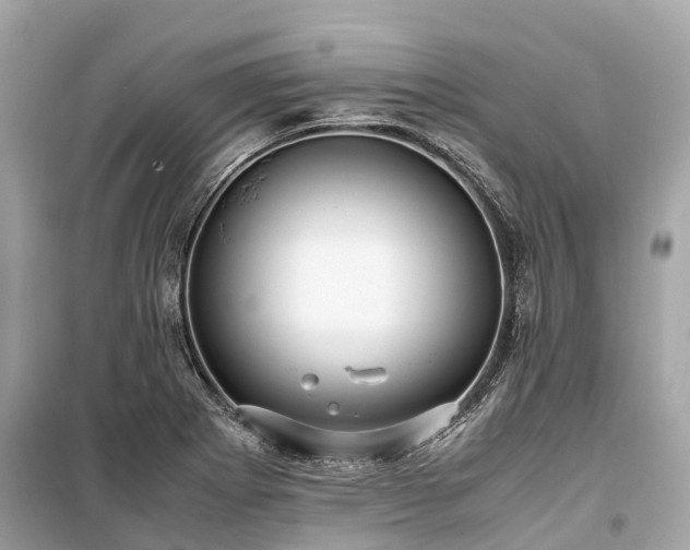 X0000099431273200805161101