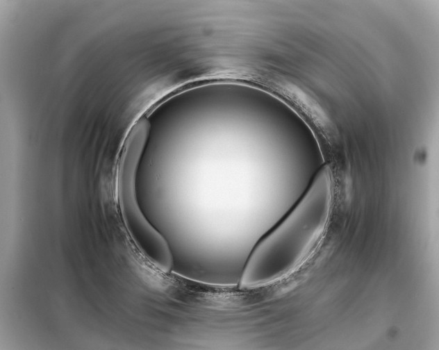 X0000099431276200805161101