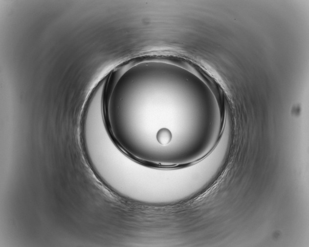 X0000099431277200805161101